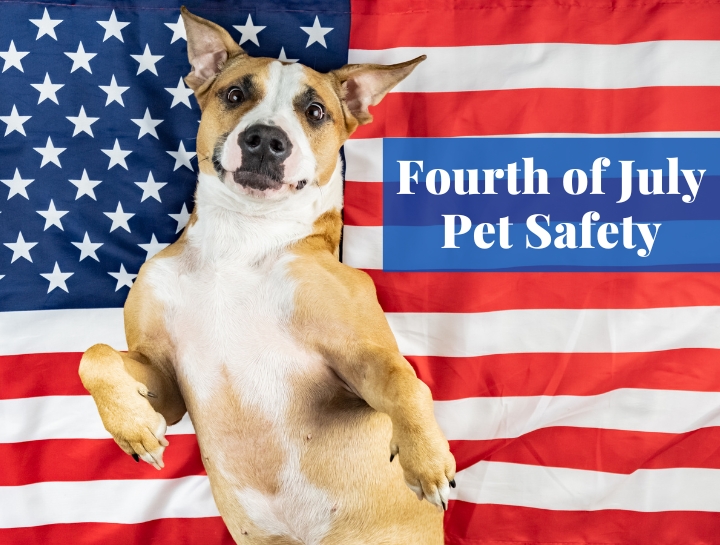 Fourth of July Pet Safety